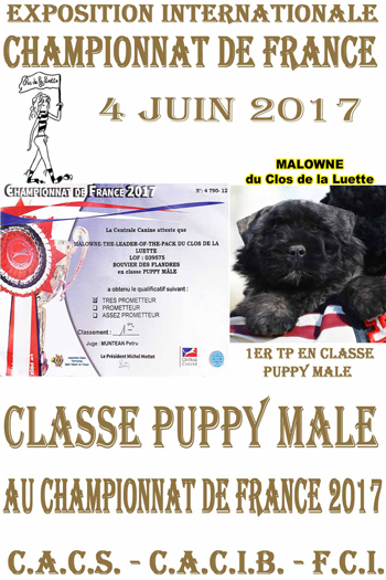 MALOWNE du Clos de la Luette championnat de france 17